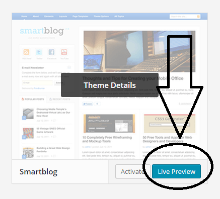 live preview of theme installed on wordpress blogs - screenshot at NoPassiveIncome blog