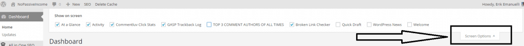 Screen options on NoPassiveIncome WP dashboard